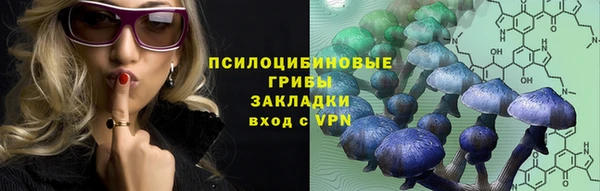 ПСИЛОЦИБИНОВЫЕ ГРИБЫ Тобольск