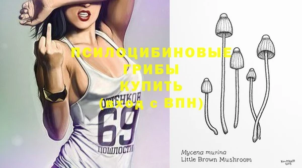 ПСИЛОЦИБИНОВЫЕ ГРИБЫ Тобольск