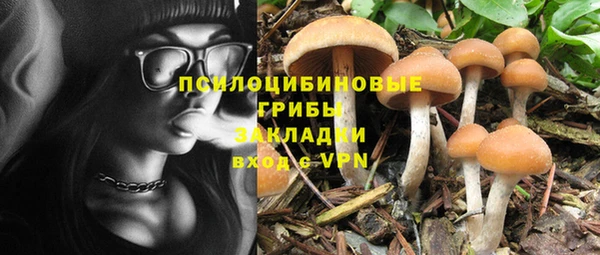каннабис Тайга