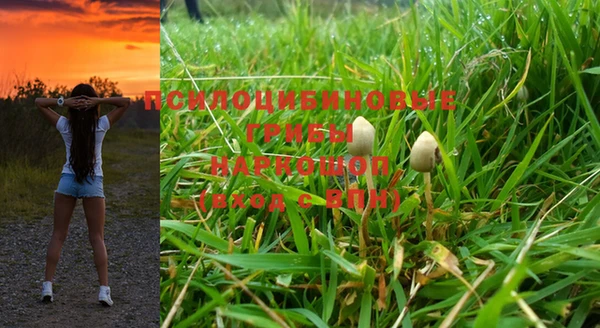 МДМА Сясьстрой