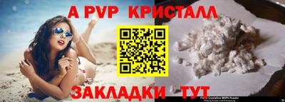spice Можга