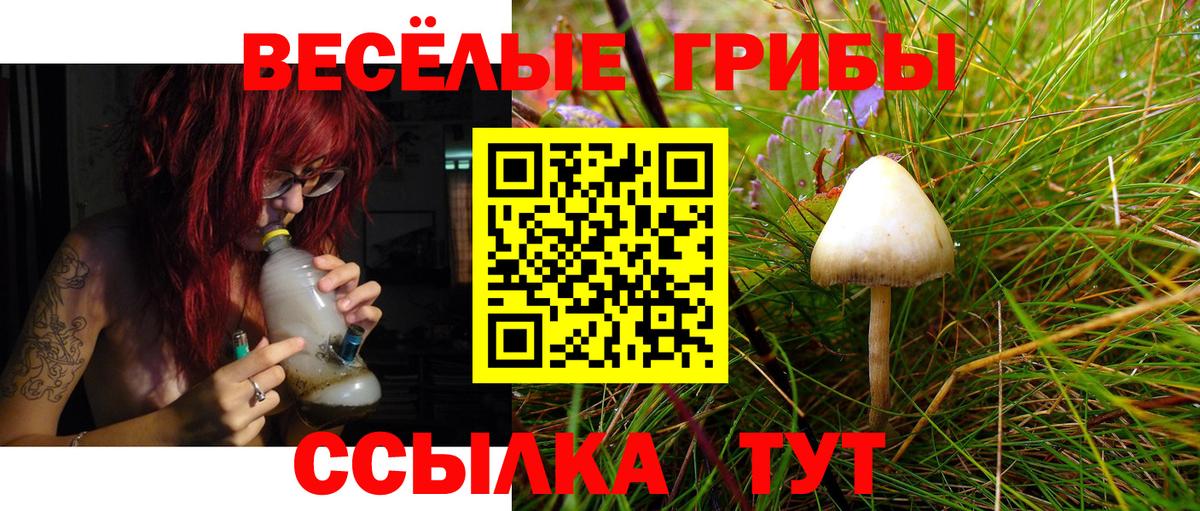 Псилоцибиновые грибы мухоморы Ростов-на-Дону