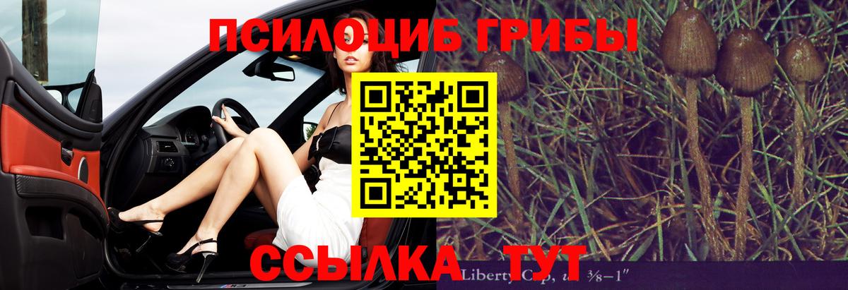 Галлюциногенные грибы Cubensis  Вход с VPN  Ростов-на-Дону  Галлюциногенные грибы мицелий 